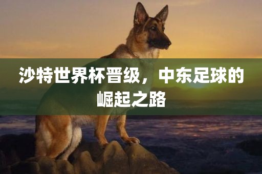 沙特世界杯晋级，中东足球的崛起之路