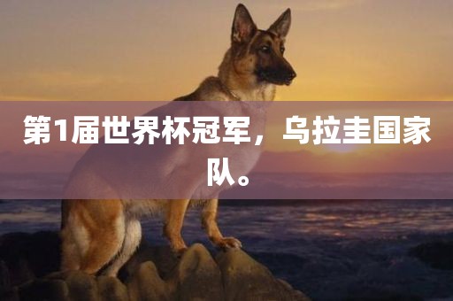 第1届世界杯冠军，乌拉圭国家队。