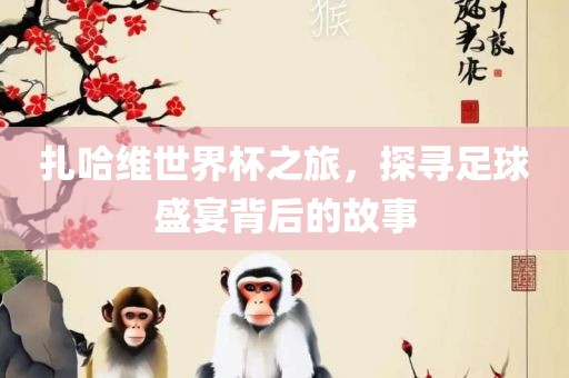 扎哈维世界杯之旅，探寻足球盛宴背后的故事