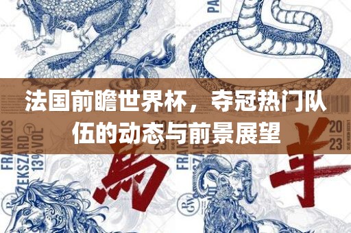 法国前瞻世界杯，夺冠热门队伍的动态与前景展望