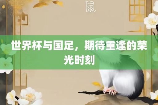 世界杯与国足，期待重逢的荣光时刻
