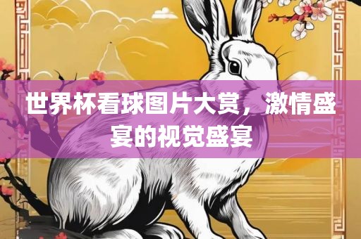 世界杯看球图片大赏，激情盛宴的视觉盛宴