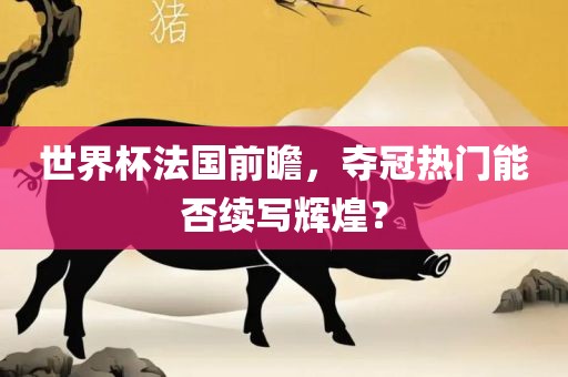 世界杯法国前瞻，夺冠热门能否续写辉煌？