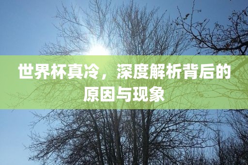 世界杯真冷，深度解析背后的原因与现象