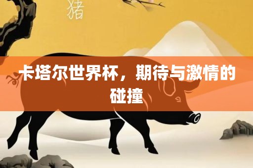 卡塔尔世界杯，期待与激情的碰撞