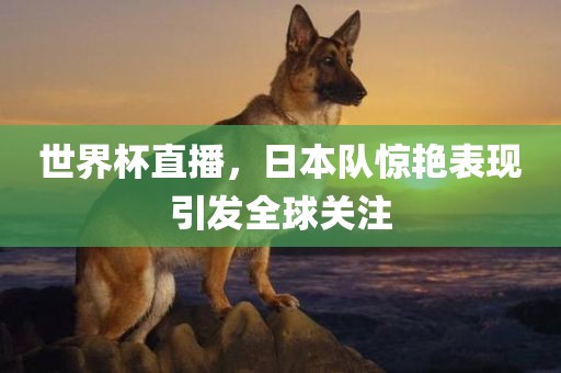 世界杯直播，日本队惊艳表现引发全球关注吉安市靖泰电力工程有限公司
