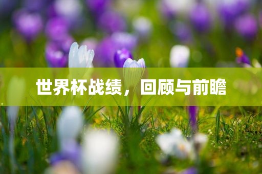 世界杯战绩，回顾与前瞻吉安市靖泰电力工程有限公司