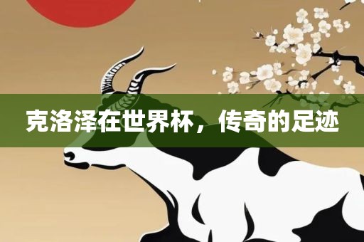 克洛泽在世界杯，传奇的足迹