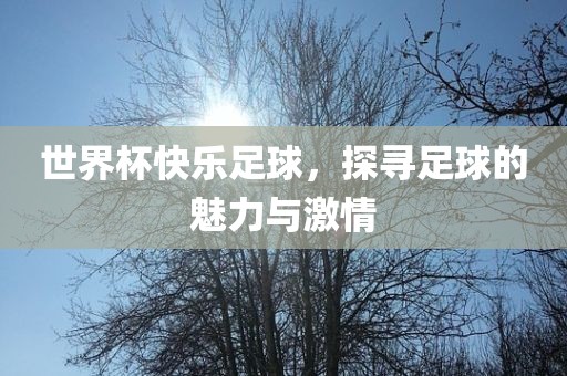 世界杯快乐足球，探寻足球的魅力与激情
