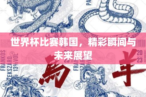 世界杯比赛韩国，精彩瞬间与未来展望