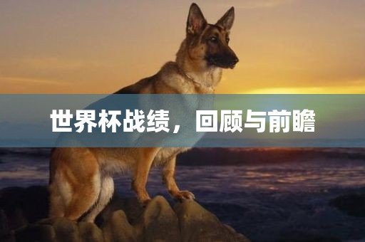世界杯战绩，回顾与前瞻
