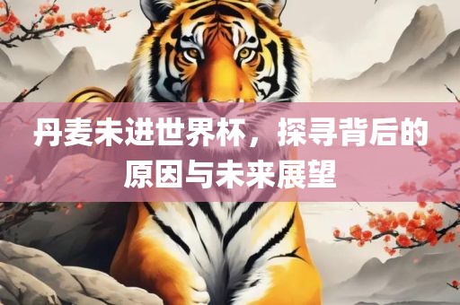 丹麦未进世界杯，探寻背后的原因与未来展望