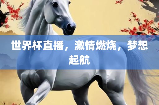 世界杯直播，激情燃烧，梦想起航吉安市靖泰电力工程有限公司