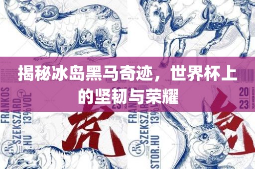 揭秘冰岛黑马奇迹，世界杯上的坚韧与荣耀