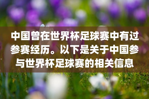 中国曾在世界杯足球赛中有过参赛经历。以下是关于中国参与世界杯足球赛的相关信息