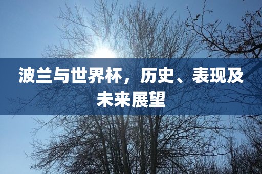波兰与世界杯，历史、表现及未来展望
