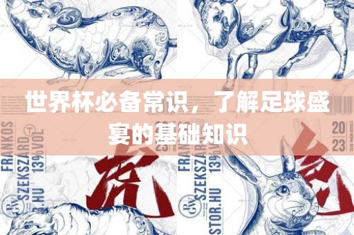 世界杯必备常识，了解足球盛宴的基础知识