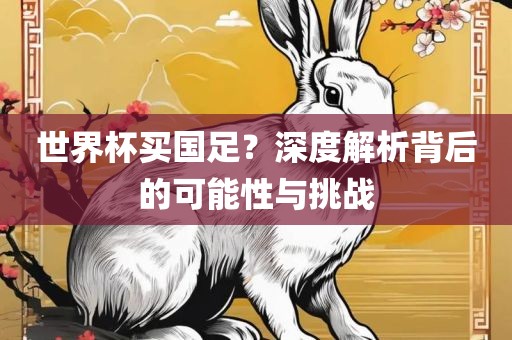 世界杯买国足？深度解析背后的可能性与挑战