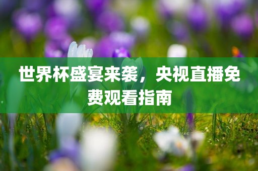世界杯盛宴来袭，央视直播免费观看指南