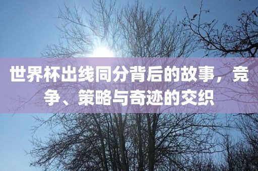 世界杯出线同分背后的故事，竞争、策略与奇迹的交织