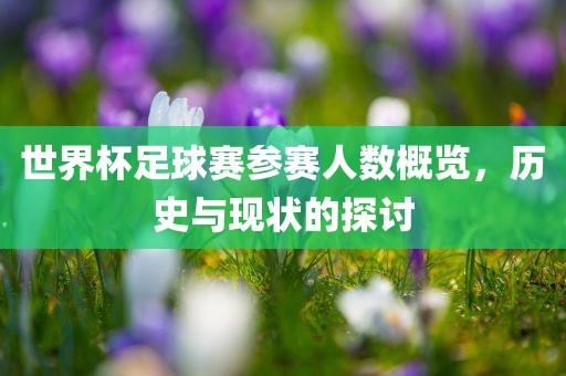 世界杯足球赛参赛人数概览，历史与现状的探讨