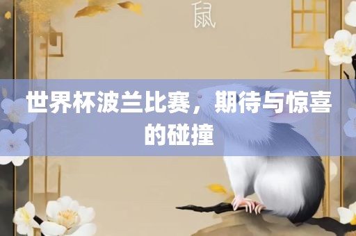 世界杯波兰比赛，期待与惊喜的碰撞