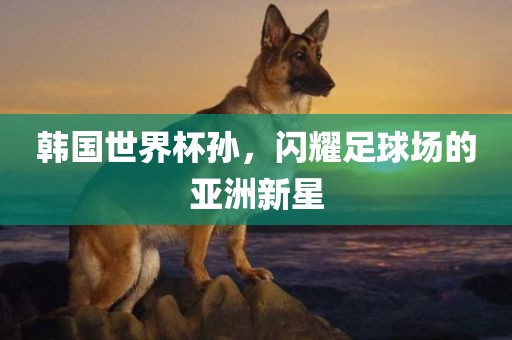 韩国世界杯孙，闪耀足球场的亚洲新星