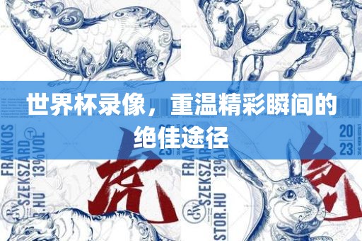 世界杯录像，重温精彩瞬间的绝佳途径