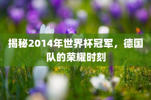 揭秘2014年世界杯冠军，德国队的荣耀时刻吉安市靖泰电力工程有限公司