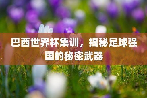 巴西世界杯集训，揭秘足球强国的秘密武器