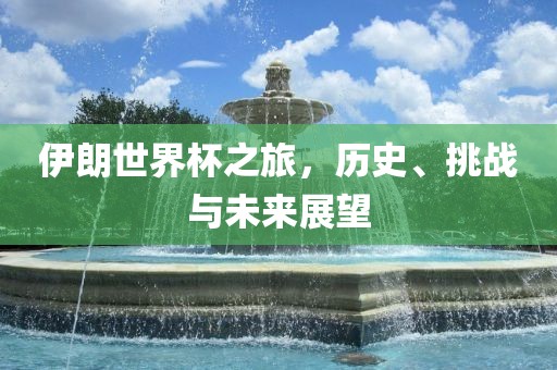 伊朗世界杯之旅，历史、挑战与未来展望
