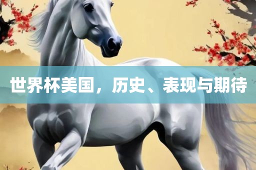 世界杯美国，历史、表现与期待