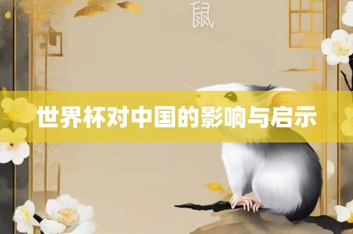 世界杯对中国的影响与启示