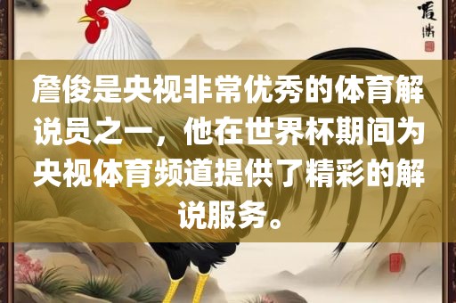 詹俊是央视非常优秀的体育解说员之一，他在世界杯期间为央视体育频道提供了精彩的解说服务。