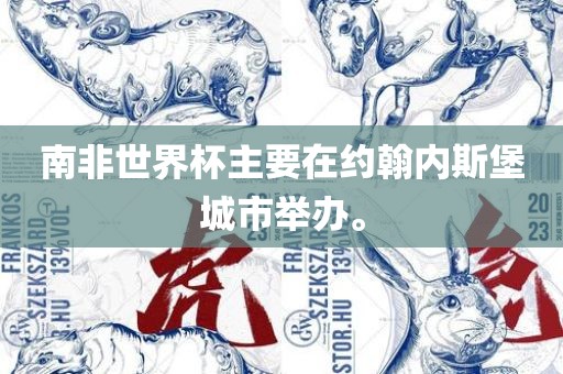 南非世界杯主要在约翰内斯堡城市举办。